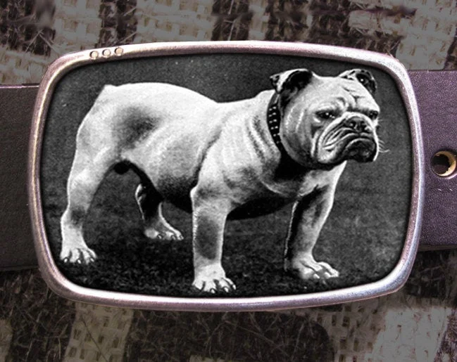 Bull Dog Belt Buckle