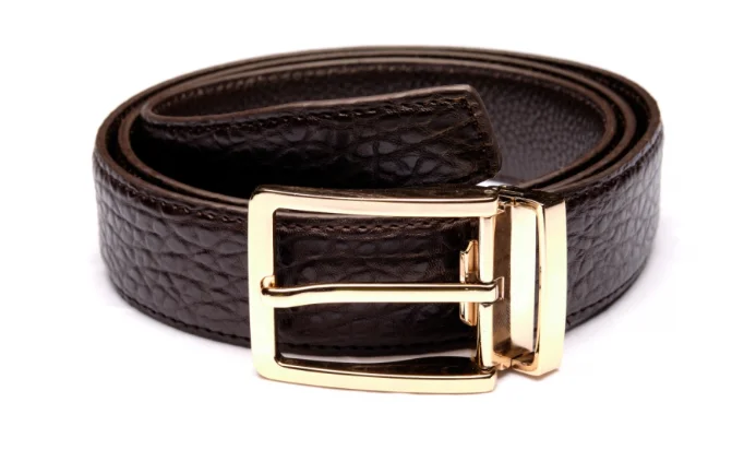 Traditional Brown Belt with Gold Buckle