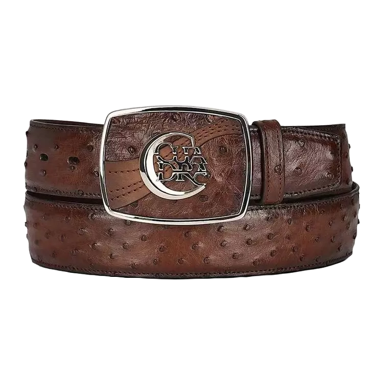 Cuadra Men's Ostrich Belt, Brown